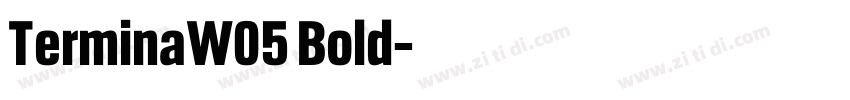 TerminaW05 Bold字体转换